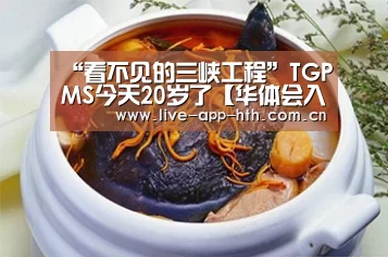 “看不见的三峡工程”TGPMS今天20岁了【华体会入口】(图4) 华体会入口