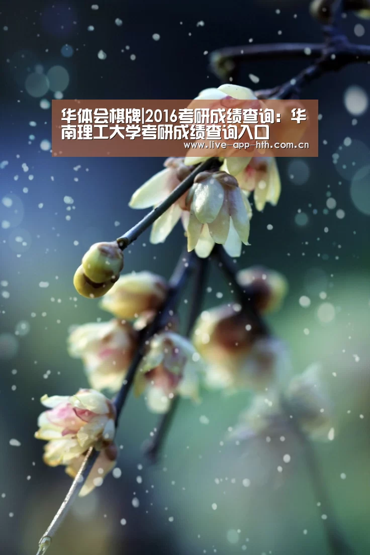 华体会棋牌|2016考研成绩查询:华南理工大学考研成绩查询入口(图3) 华体会